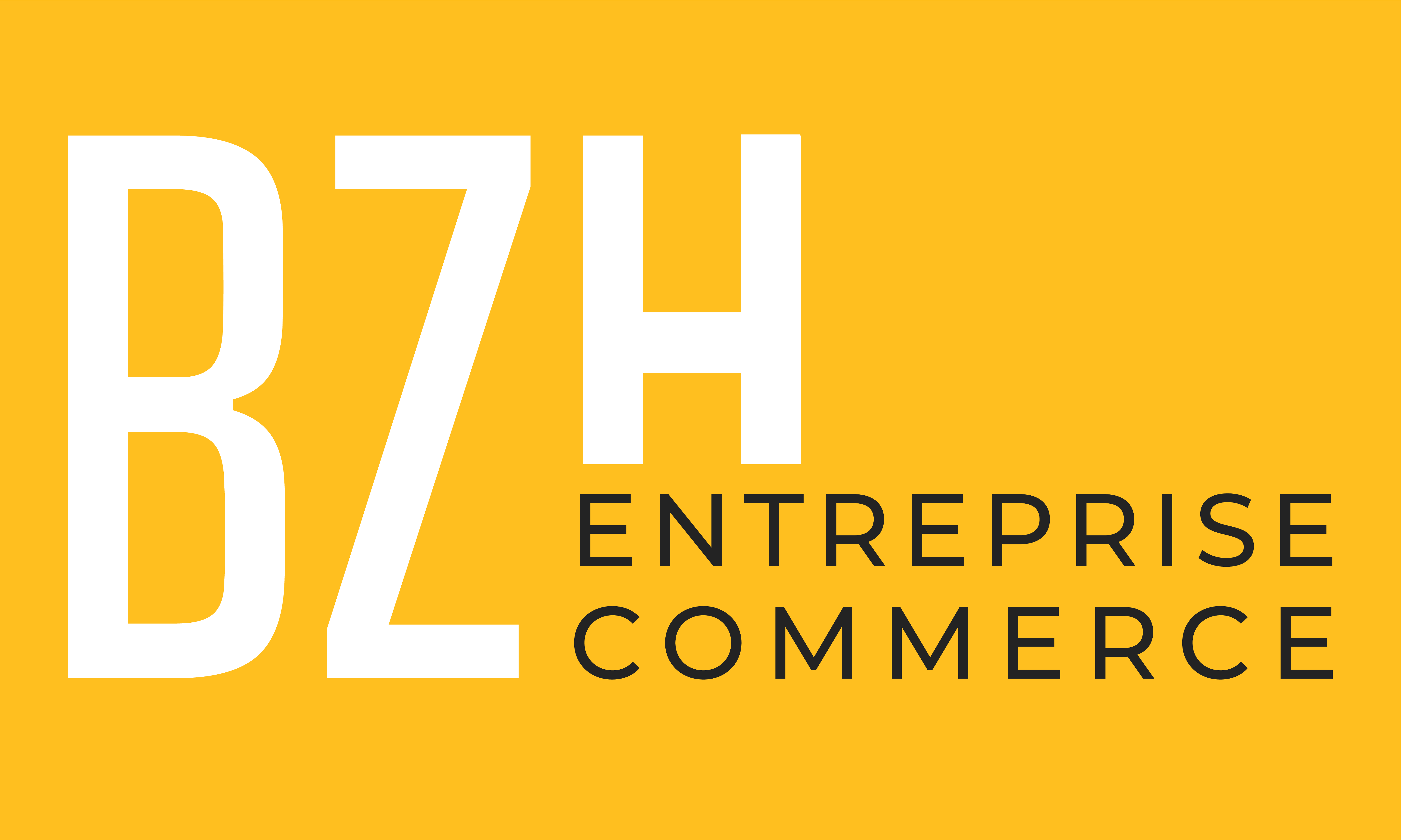 BZH ENTREPRISE COMMERCE