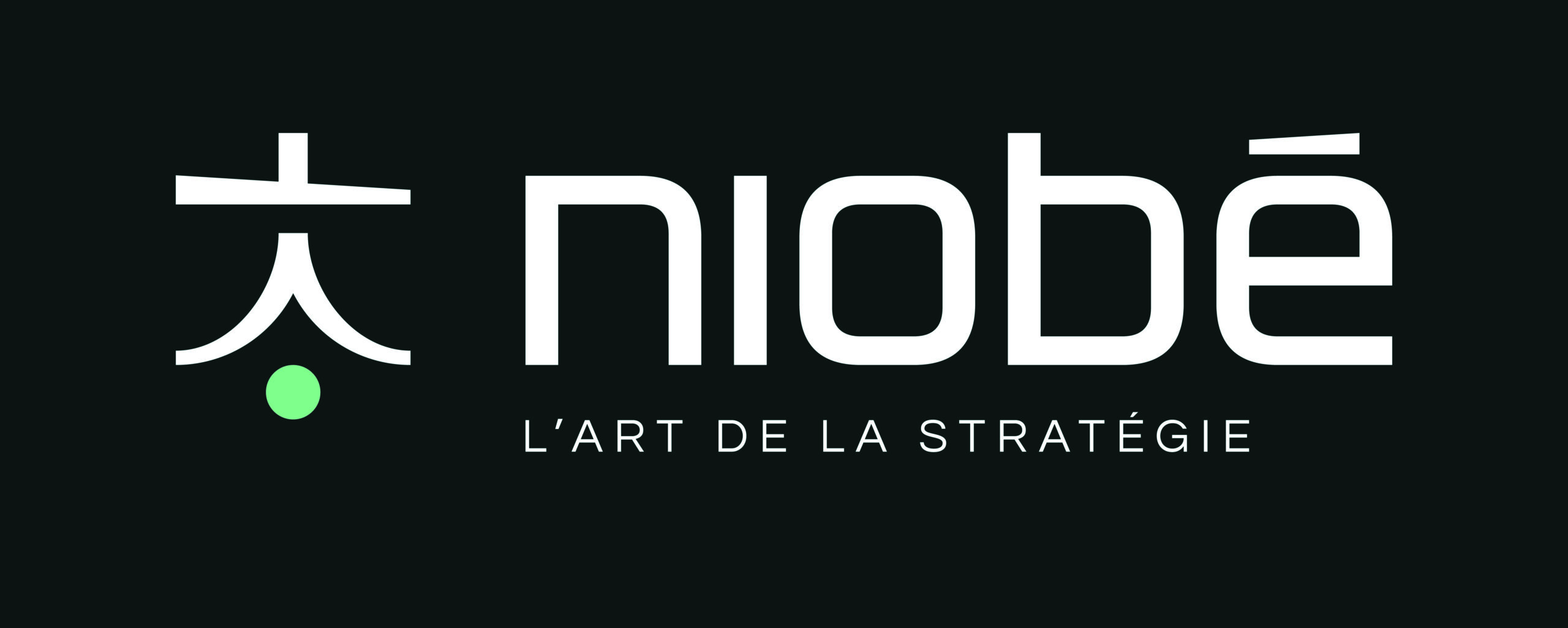 NIOBÉ STRATÉGIE